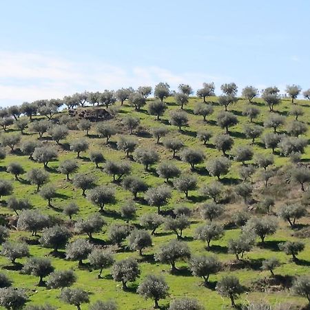 Agroturismo Casal De Castro Villa Avantos Dış mekan fotoğraf