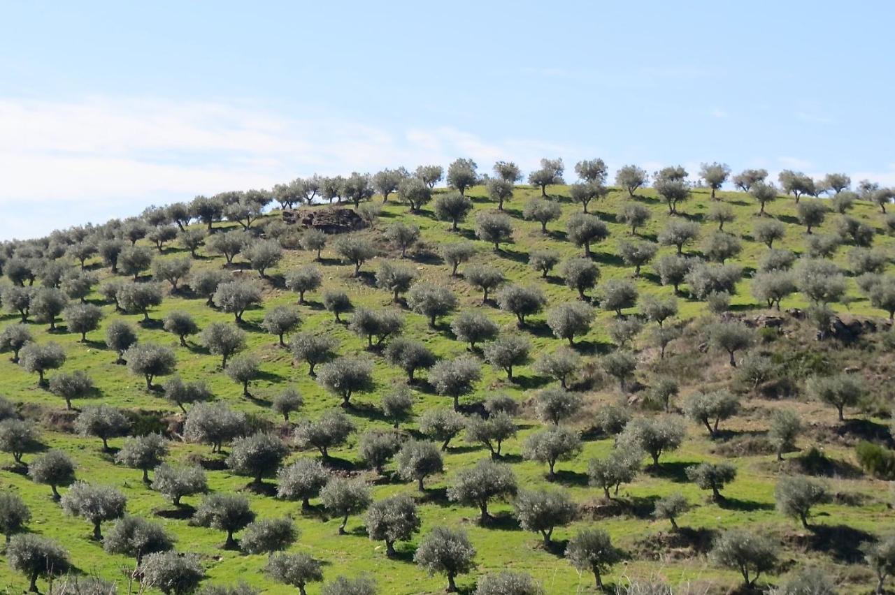 Agroturismo Casal De Castro Villa Avantos Dış mekan fotoğraf